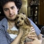Toy Poodle Puppies for Adoption Near Me in the USA