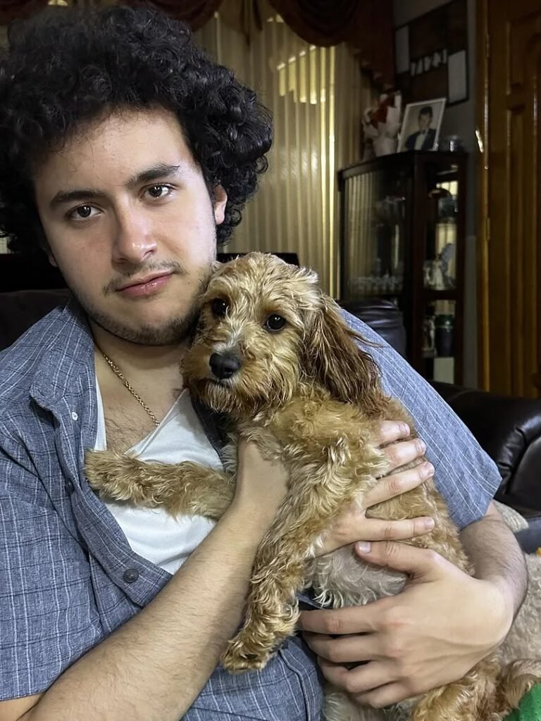 Toy Poodle Puppies for Adoption Near Me in the USA